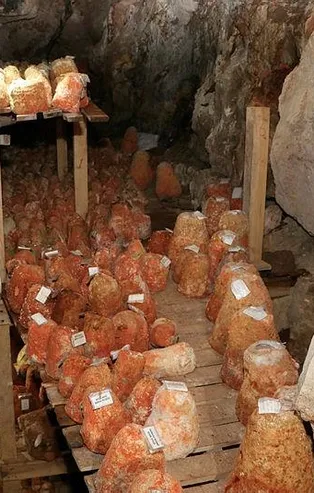 Mağarada saklanıyor! Karaman'da Divle Obruk...