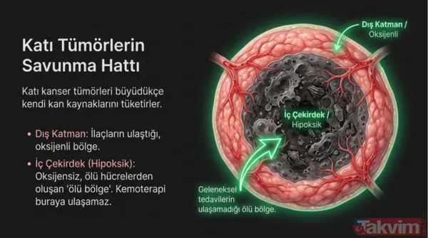 Kansere karşı mikro savaş: Bilim insanları tümörleri içten yiyen bakteri geliştirdi - 8