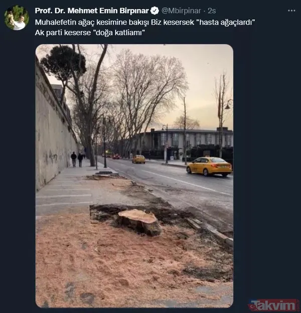 İstanbul tarihine kazınan bir ihanet! Ağaç zarar görmesin diye köşk yürüten Atatürk'ten asırlık çınarları katleden CHP'li İBB'ye - 18