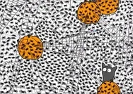 10 kişiden 9u bulamıyor! Örümcek ağına sıkışan sinekleri ancak üstün zekalı birisi anında buluyor