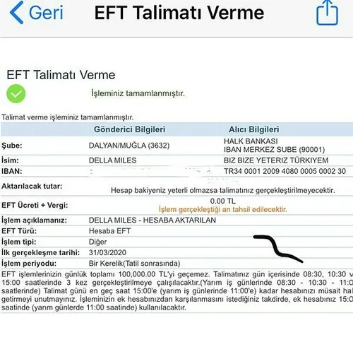 ABD'li sanatçı Della Miles'tan 'Biz Bize Yeteriz Türkiyem' kampanyasına destek-1
