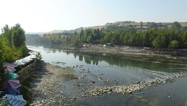 dicle-nehri-kenarinda-korkutan-goruntu-binlerce-balik-telef-oldu-1603794303354.jpg Dicle Nehri kenarında korkutan görüntü: Binlerce balık telef oldu-5