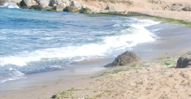 Beykoz'da 2 gün boyunca denize girmek yasak