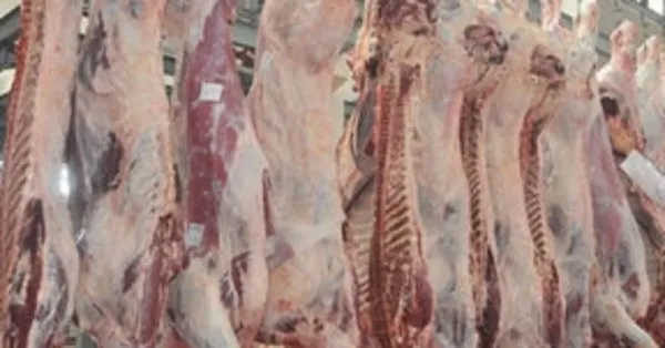 Et ve Süt Kurumu, büyükbaş karkas et alım fiyatlarını 2 lira artırdı