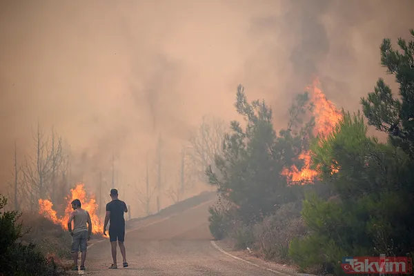 Yangından etkilenen vatandaşlar yaşadıkları dehşeti anlattı: Bir eşyam bile kalmadı! | Devletin ve milletin ellerine sağlık! - 33