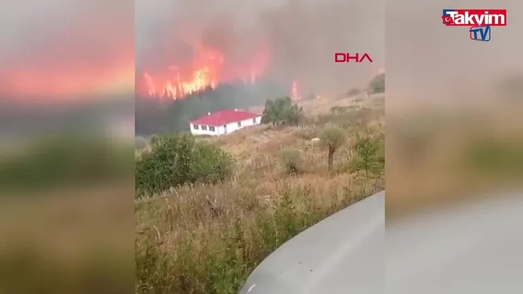 Bolu'da orman yangını