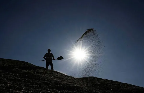 tarim-ve-orman-bakani-ibrahim-yumakli-duyurdu-verim-artacak-fiyat-dusecek-1691790604914.jpeg Tarım ve Orman Bakanı İbrahim Yumaklı duyurdu! Verim artacak fiyat düşecek-3