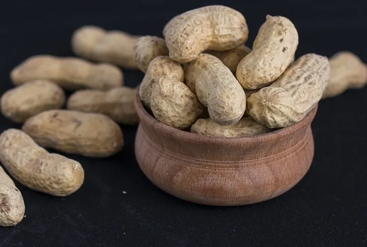 Ağrı kesici yer fıstığı