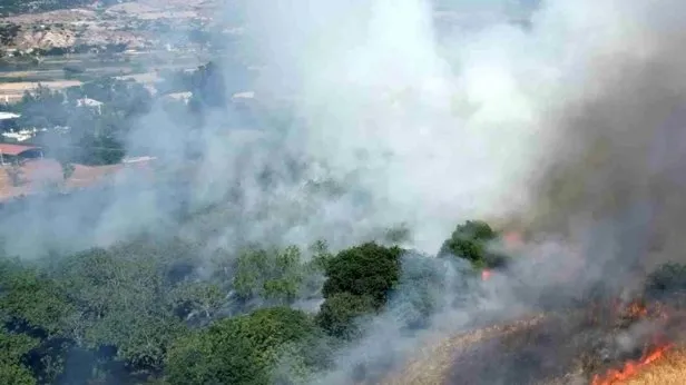 Denizli Pamukkalede de orman yangını çıktı! 21 araç 55 personel bölgeye geldi: 30 hektar ormanlık alan...