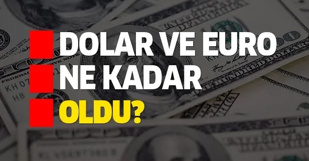 Dolar ve euro bugün ne kadar oldu? 10 Ağustos dolar ve euro alış satış fiyatları kaç TL?