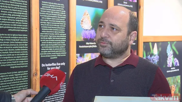 SON DAKİKA: İstanbul için yeni tehlike kapıda! Teke böceği yüzünden 2 ayda 180 ağaç kesildi - 9