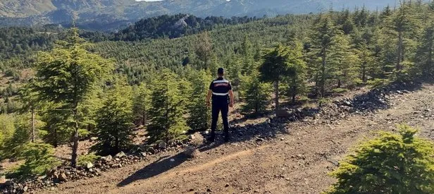 Jandarma orman nöbetinde