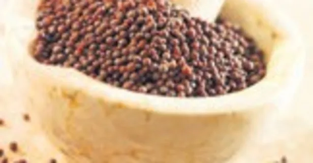 Kış mevsiminde hastalıklara karşı kalkan 'hardal'