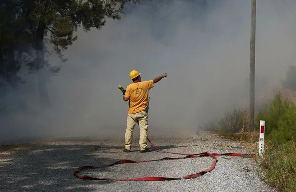 Muğla'da orman yangını-5