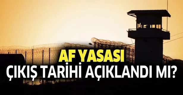 İkinci yargı paketi çıkış tarihi açıklandı mı? 31 Ekim genel af ve ceza indirimi yasası ne oldu? İşte son gelişmeler-1