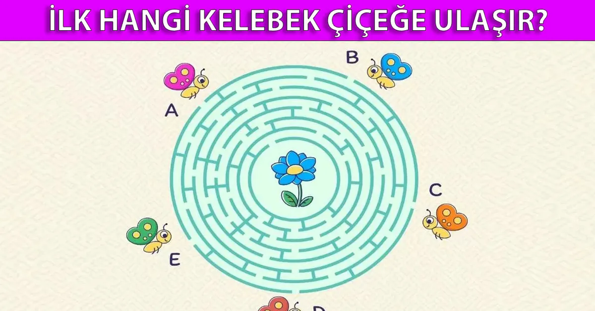 100 kişiden 3’ü bile çözemedi! Bu zeka bulmacası büyüteç gibi göz istiyor! İlk hangi kelebek çiçeğe ulaşır?
