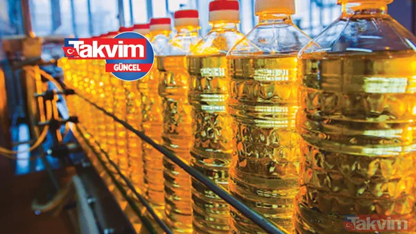 Kırıkkale'de Devlet Desteğiyle Tarım Arazisine Yağlık Ayçiçeği Eken Çiftçi, Yağışlarında Etkisiyle Yüksek Verim Beklediğini Belirtti. Karacaören Ovası'ndaki...