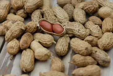 Fıstık gibi