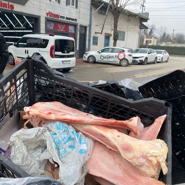 Eti sıyrılmış at kemiği bulundu