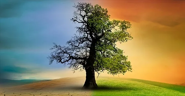 Türkiye’nin ilk İklim Kanunu Resmi Gazete'de! İşte kapsadığı düzenlemeler...