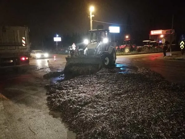 Bursa'da tonlarca hamsi yola saçıldı - 4
