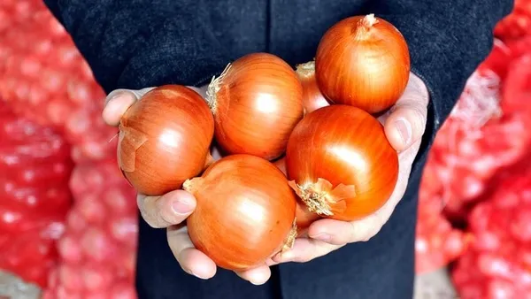 uzmanlar-yaz-aylarinda-sik-gorulen-besin-zehirlenmelerine-karsi-10-kritik-kurali-acikladi-etlerin-iyice-pismis-1695594944509.jpeg Uzmanlar yaz aylarında sık görülen besin zehirlenmelerine karşı 10 kritik kuralı açıkladı: Etlerin iyice pişmiş olmasına dikkat edin...-3