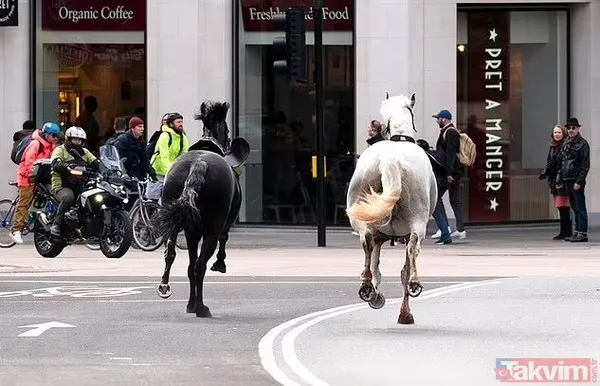 Öfkeli beş Kraliyet atı Londra’yı birbirine kattı! Kaçak atlardan biri sabıkalı çıktı: Kral Charles’ın taç giyme töreninde kafaya tekme - 6