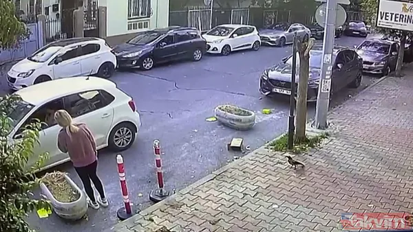 İstanbul’da kedisinin tıraşını beğenmeyen kadın veteriner teknikerine saldırdı - 4