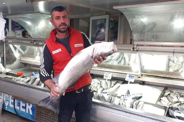 kilosunu-100-liradan-satti-canakkale-geliboluda-7-kiloluk-levrek-yakalandi-1634736477143.jpg