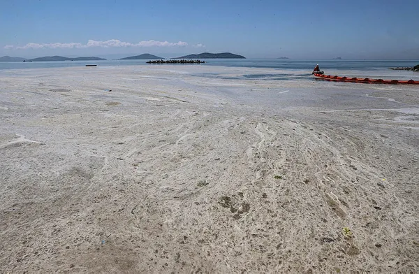 Marmara istila altında! Deniz salyasının (müsilaj) ilk raporu ortaya çıktı! Korkunç sonuç!-10