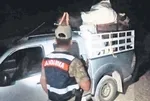 Tunceli’de dağ sarımsağı operasyonu! 557 bin lira ceza