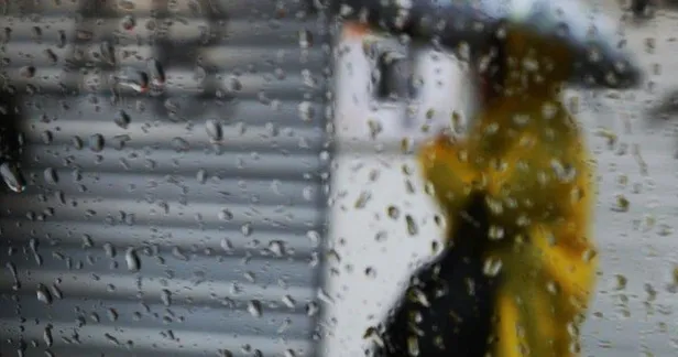 Meteoroloji'den son dakika hava durumu tahmini! İstanbul'da hava durumu nasıl olacak? (01 Şubat 2019)-3