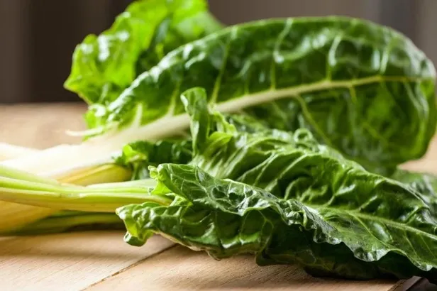 Bahar yorgunluğu bitecek! Uzmanı metabolizmanın bahar aylarına uyumu için yapılması gerekenleri sıraladı-5