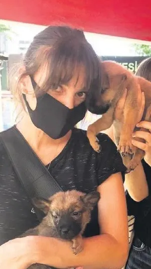 Aslı Enver, barınaktan çıkmaz oldu