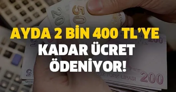 Türkiye geneli başvuruları başladı! Ayda 2 bin 400 TL’ye kadar ücret ödeniyor! İşte detaylar