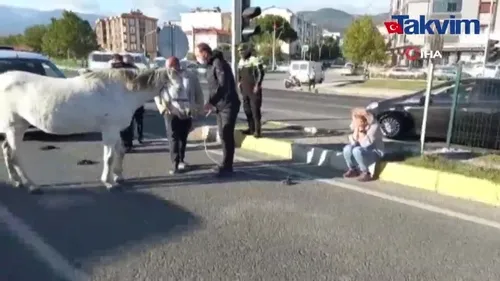 Ata çarpan kadın gözyaşına boğuldu