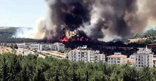 Gaziantep’te orman yangını! Soğutma çalışmaları başladı