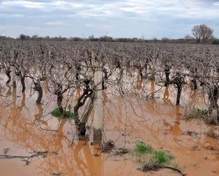 Manisa’da felaket! Uyarı geldi...