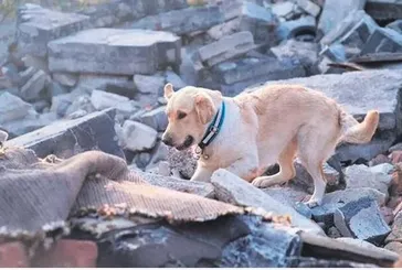 Felaketi önce onlar yaşadı