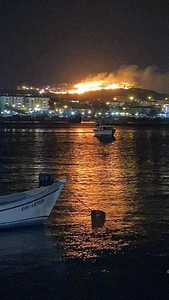 balikesirin-ayvalik-ilcesinde-otluk-alanda-cikan-yangin-kontrol-altina-alindi-1689554436731.jpeg