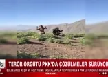 İçişleri Bakanlığı duyurdu: 5 PKK'lı terörist teslim oldu