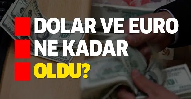 Dolar ve euro ne kadar oldu?