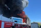 Tuzla'da fabrika yangını! Ormanlık alana sıçradı | Görgü tanığı anlattı: "10 dakikada fabrikayı sardı"