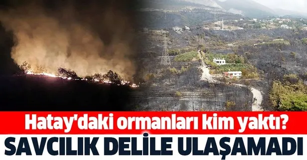 Hatay'daki ormanları kim yaktı?