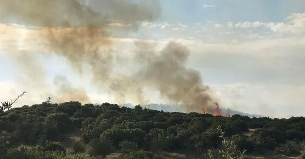 Çanakkale'de orman yangını!