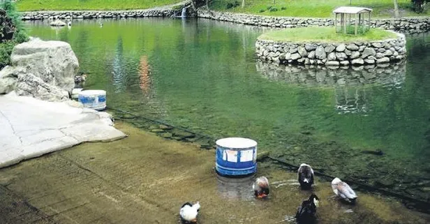 Hafta sonu İstanbul'a yakın mesafede doğanın tadını çıkarabileceğiniz yerler