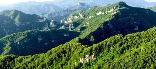 Gezizekalıları renkten renge sokacak çevre araştırması!