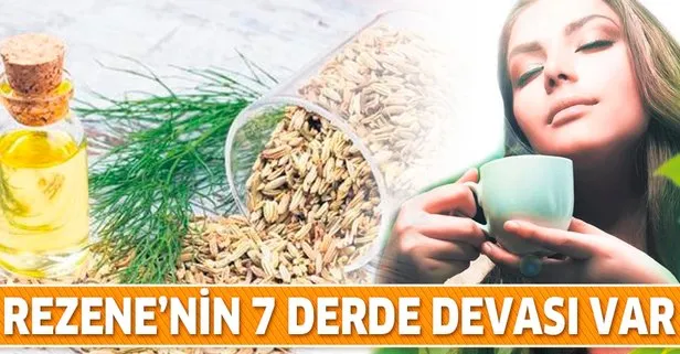 Rezene 7 derde deva