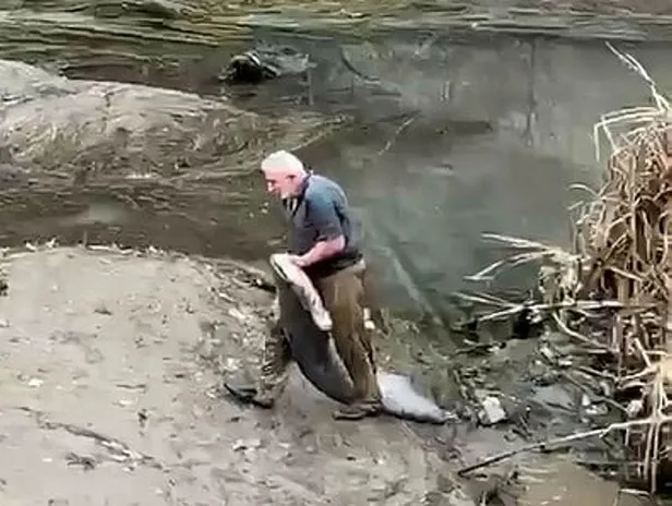 Yaşlı bir adam boyu kadar balığı bakın nasıl yakaladı! O anlar cep telefonu kamerasında-3