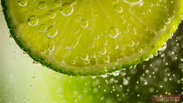 Her şey 2 bin 500 yıl önce başladı kimse böylesini beklemiyordu! Her derdin devası o hastalığı bile tarihten sildi - 27